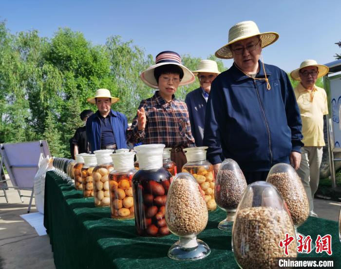 青海：利用冷涼氣候，打造高原綠色種業(yè)輸出地