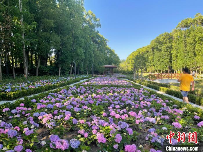 納民意、匯民智上海努力讓“公園城市”建設(shè)真正“合民心”