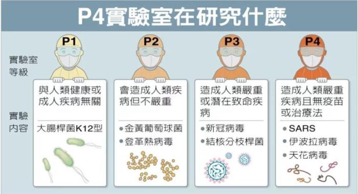 P4實(shí)驗(yàn)室在研究什么。臺(tái)灣聯(lián)合新聞網(wǎng)資料圖