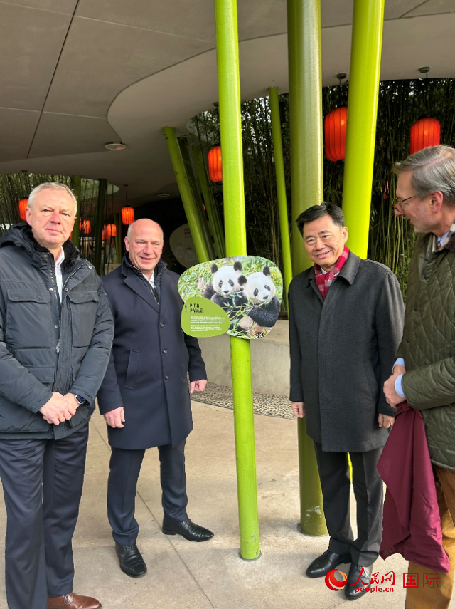 中國駐德國大使吳懇（右二）、柏林市長韋格納（左二）、動物園園長克尼里姆（右一）和監(jiān)事會主席布魯克曼（左一）共同為“夢想”“夢圓”大熊貓紀念牌揭幕。人民網(wǎng)記者 徐馨攝