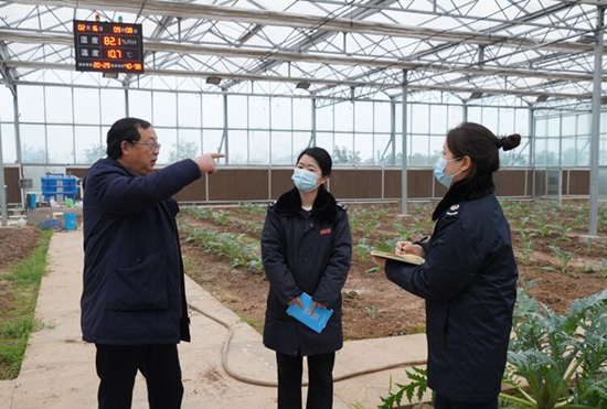 稅務(wù)干部走進常德市西洞庭管理區(qū)的朝鮮薊種植基地，宣傳稅費優(yōu)惠政策，助力農(nóng)企搶農(nóng)時、抓春耕、穩(wěn)增長。吳家豪攝