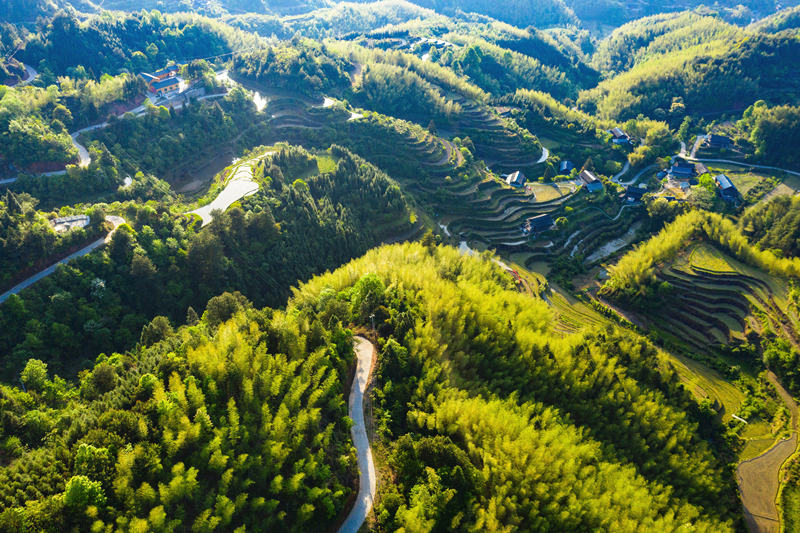 會(huì)同縣高椅鄉(xiāng)雪峰村的產(chǎn)業(yè)路盤旋在綠色的大山之間。田文國(guó)攝