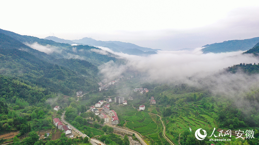 雨后的金寨大灣村，云霧環(huán)繞，宛如一幅田園山水畫卷。人民網(wǎng) 張俊攝