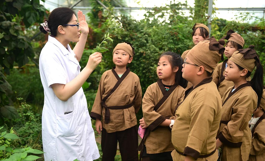 參加活動的孩子聆聽滄州市人民醫(yī)院國醫(yī)館中醫(yī)對中藥材的講解。 傅新春攝