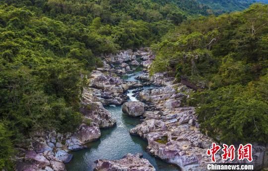 2018年海南生態(tài)環(huán)境狀況等級為“優(yōu)”，植被覆蓋率高，生物多樣性豐富，生態(tài)系統(tǒng)穩(wěn)定，圖為海南中部熱帶雨林?！●樤骑w　攝