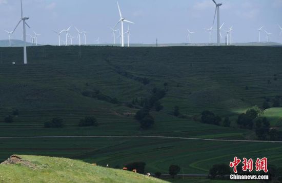 6月28日，河北張家口張北草原上大片風(fēng)力發(fā)電的“風(fēng)車”規(guī)模宏大。 中新社記者 楊艷敏 攝