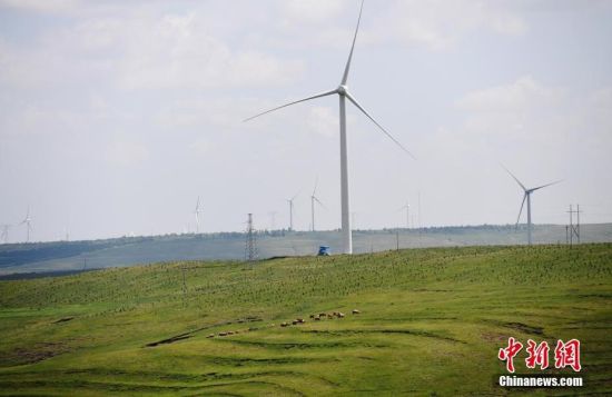 6月28日，河北張家口張北草原上大片風(fēng)力發(fā)電的“風(fēng)車”規(guī)模宏大。 中新社記者 楊艷敏 攝