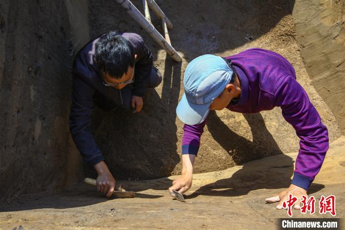 探秘古航道上的大型墓葬群：龍山、唐朝等數(shù)千年文化同步展現(xiàn)