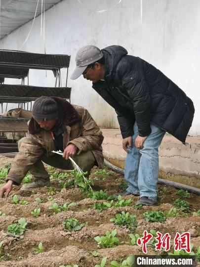 圖為尼瑪扎西(右)與西藏農(nóng)民聊天(資料圖)。西藏農(nóng)科院 供圖