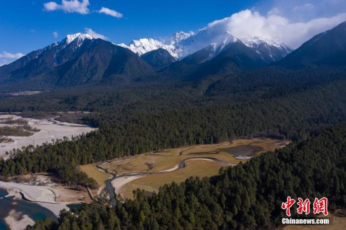 資料圖：西藏崗云杉林與遠處的雪峰。 何蓬磊 攝