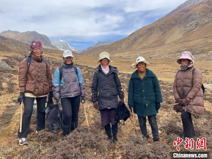 藏族阿佳們涂上自制防曬“面膜”上山找蟲草。　冉文娟 攝