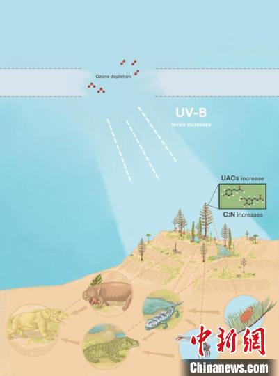臭氧層破壞引起的紫外線輻射增加對陸地食物鏈的影響?！∧瞎潘?供圖