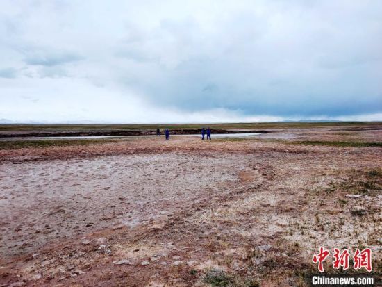 圖為救援力量在青海省西部搜救失聯(lián)的江蘇南京某大學(xué)女生黃某某。海西州藍(lán)天應(yīng)急救援中心 供圖