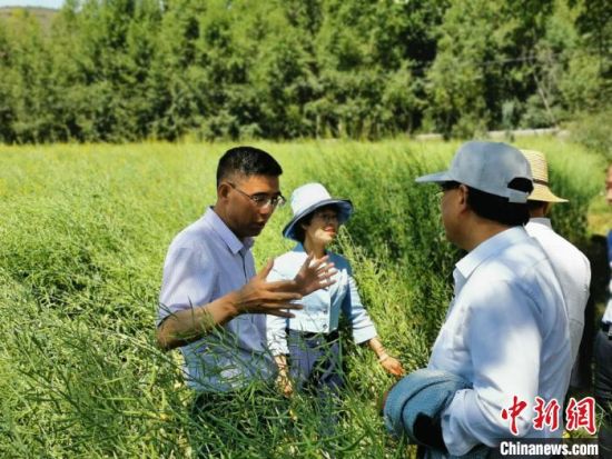 圖為九三學社青海省委主委杜德志(左一)在基層調研。受訪者供圖