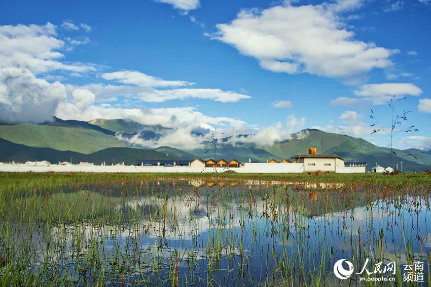 納帕海濕地風(fēng)景。呂昊辰攝