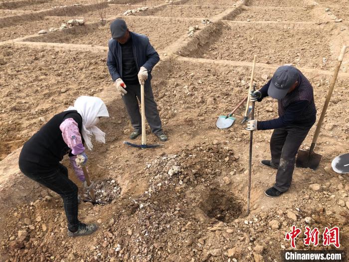 資料圖為建行青海省分行綠化區(qū)施工隊隊員處理亂石?！〗ㄐ星嗪Ｊ》中泄﹫D