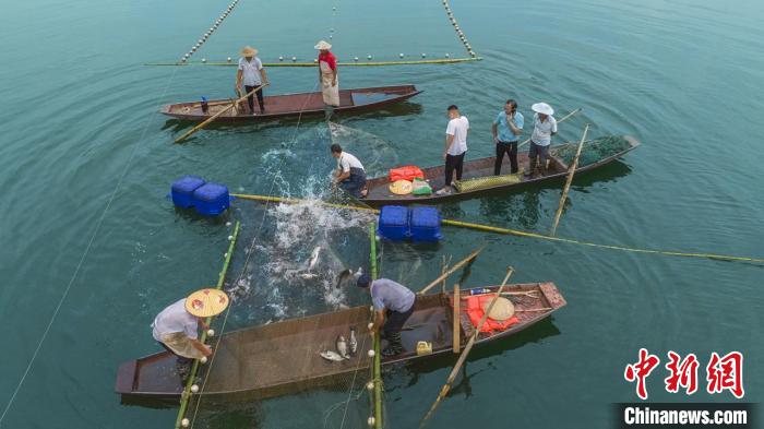 捕魚現(xiàn)場?！≈鬓k方供圖