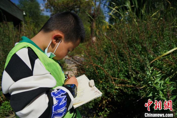 圖為小朋友在青海西寧湟水國家濕地公園內認識植物并進行繪畫?！●R銘言 攝