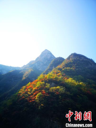 四川萬源：紅葉觀賞正當(dāng)時(shí)滿山紅葉層林盡染