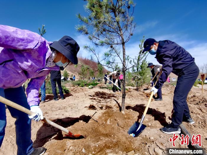 青海掀起春季義務(wù)植樹高潮今年計劃義務(wù)植樹1500萬株