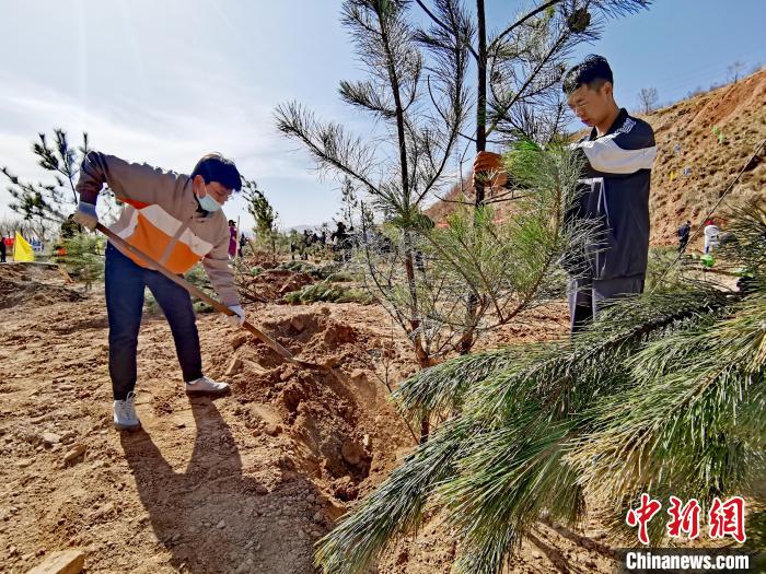 圖為西寧市城東區(qū)義務(wù)植樹活動現(xiàn)場?！?zhí)砀?攝