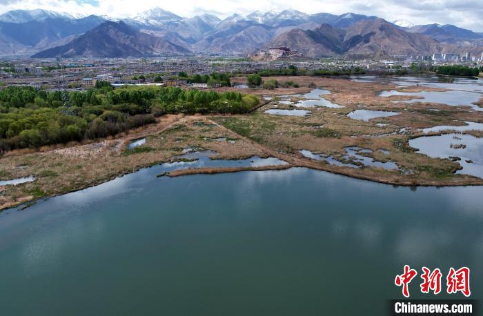 圖為拉薩拉魯濕地。(無(wú)人機(jī)照片) 李林 攝