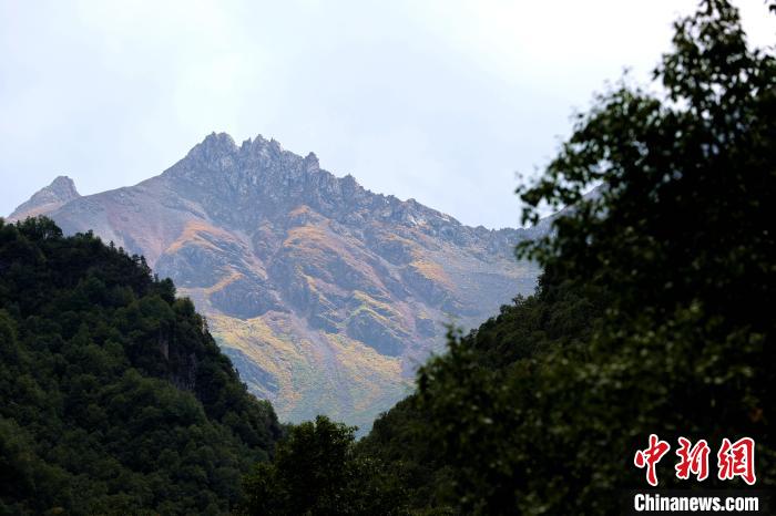 青海互助北山國(guó)家森林公園風(fēng)景如畫(huà)美不勝收