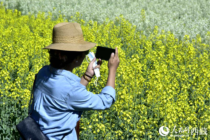 大片油菜花吸引游客到來(lái)。人民網(wǎng) 李海霞攝