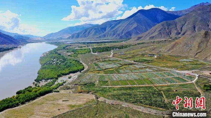 圖為桑日縣葡萄種植基地。　山南桑日縣委宣傳部提供