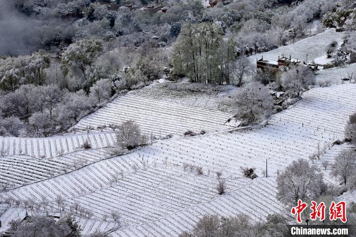 雪后的高山田間如畫?！±钣腊?攝