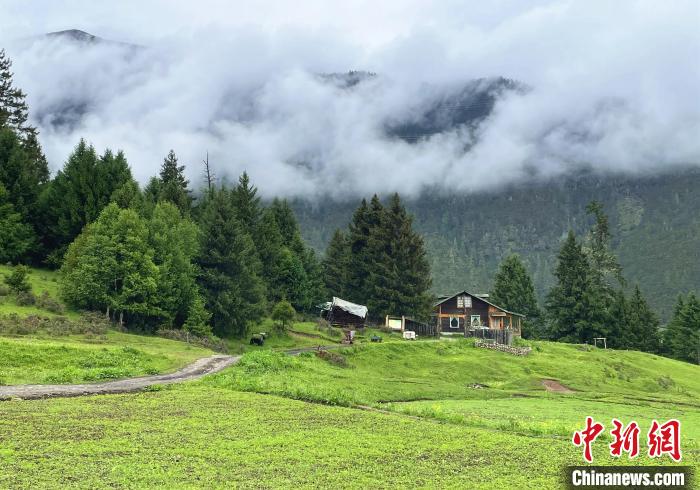 6月10日，魯朗小鎮(zhèn)高山牧場景區(qū)風光。　冉文娟 攝