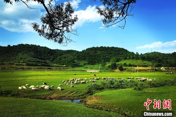 非子牧場天然風光好，是“踏青賞花、避暑休閑、牧馬養(yǎng)生”的旅游勝地?！埰桨?攝