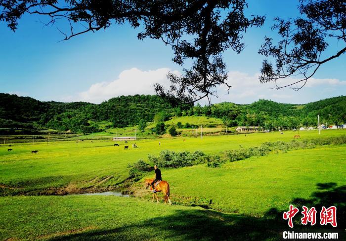 圖為民眾在非子牧場騎馬?！埰桨?攝