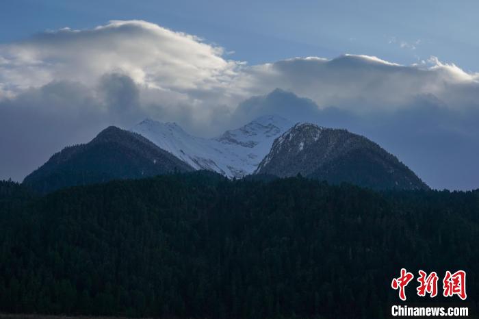 西藏波密縣的原始森林與雪山風(fēng)光?！〗w波 攝