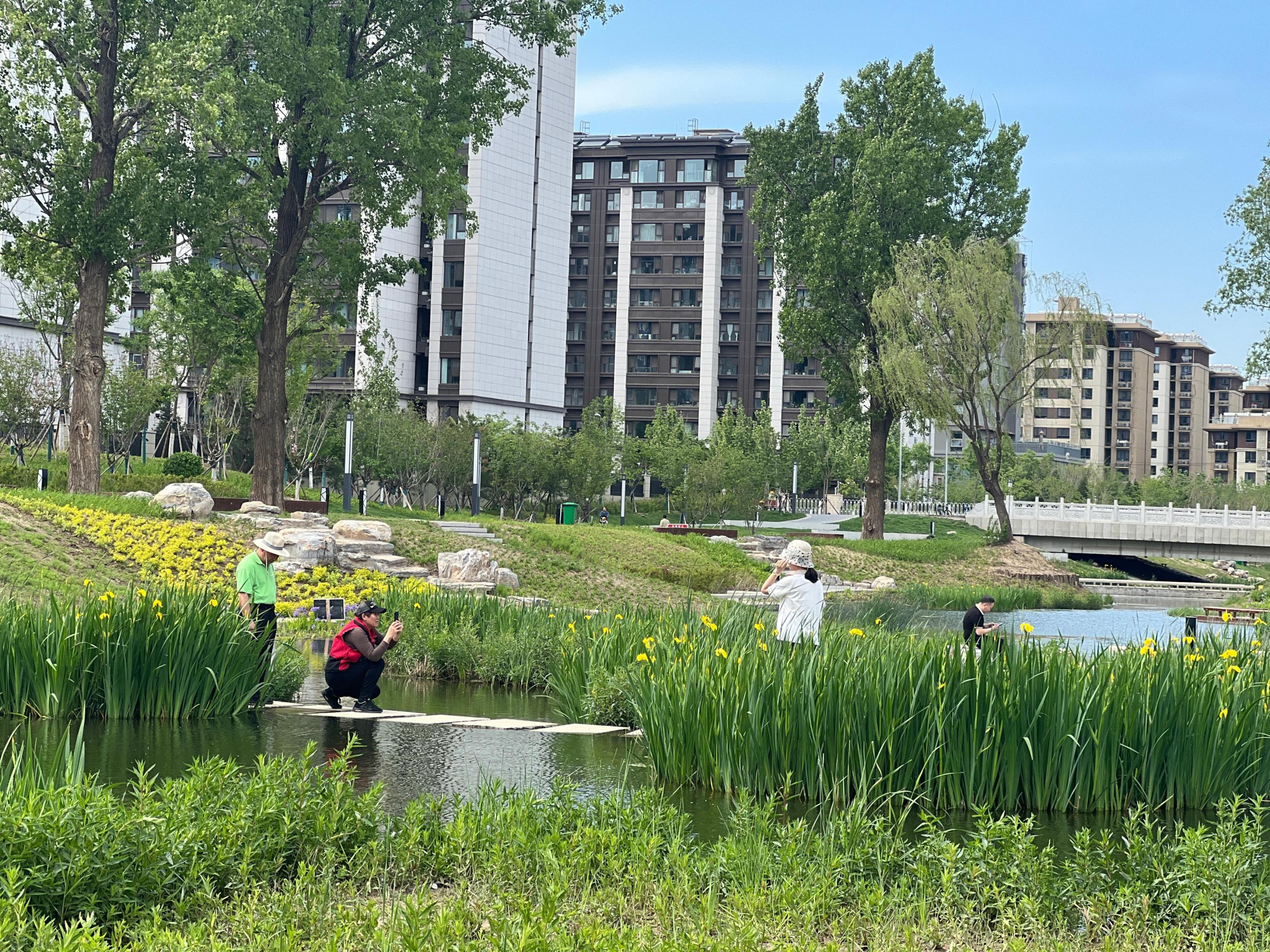 五一渠生態(tài)濱河公園內(nèi)，市民正在拍照留念。人民網(wǎng) 歐陽易佳攝