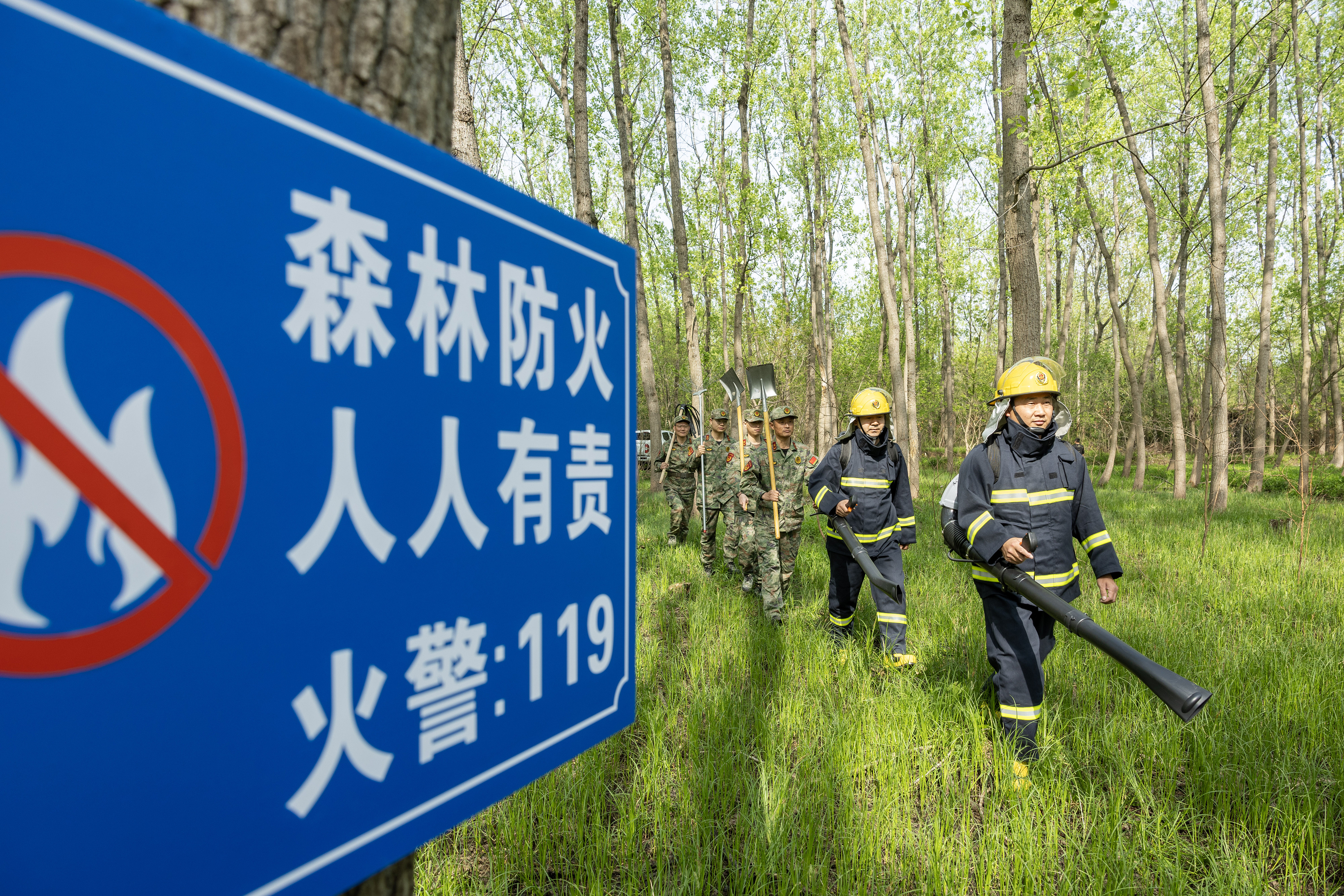 2024年4月9日，合肥市大房郢水庫(kù)水源保護(hù)地廬陽(yáng)經(jīng)濟(jì)開(kāi)發(fā)區(qū)段，基干民兵正在林間巡查火災(zāi)隱患。