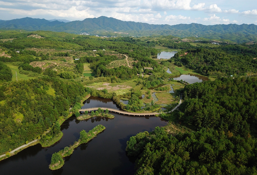 福建省龍巖市長汀縣的長汀汀江國家濕地公園景色（2020年7月28日攝，無人機(jī)照片）。新華社記者 魏培全 攝