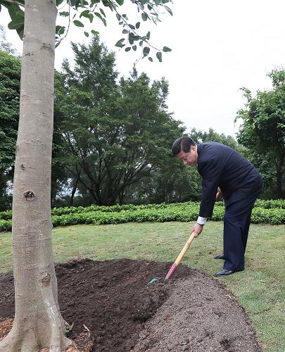 2012年12月7日至11日，習近平在廣東省考察工作。這是8日上午，習近平在深圳蓮花山公園種下一棵高山榕樹。新華社記者 蘭紅光 攝