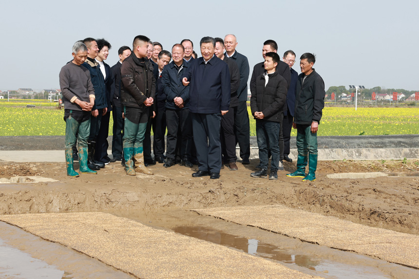 2024年3月18日至21日，中共中央總書(shū)記、國(guó)家主席、中央軍委主席習(xí)近平在湖南考察。這是19日下午，習(xí)近平在常德市鼎城區(qū)謝家鋪鎮(zhèn)港中坪村走進(jìn)田間，察看秧苗培育和春耕備耕進(jìn)展。新華社記者 王曄 攝