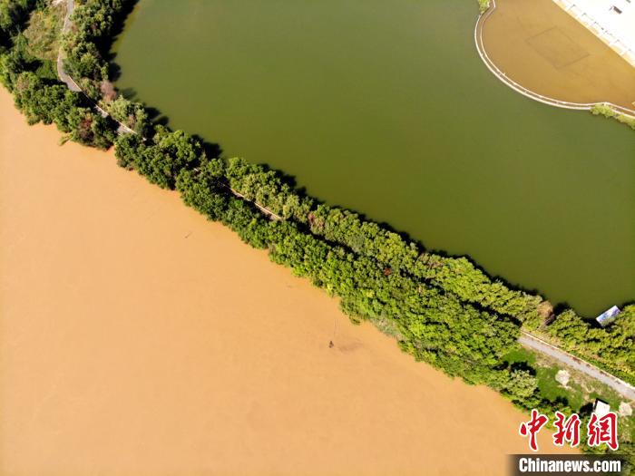 圖為2020年9月3日航拍黃河蘭州段濕地公園現(xiàn)黃河“鴛鴦鍋”。(資料圖) 高瑩 攝