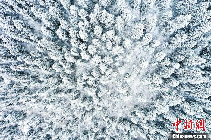 壤塘的雪后美景。　壤塘縣融媒體中心供圖