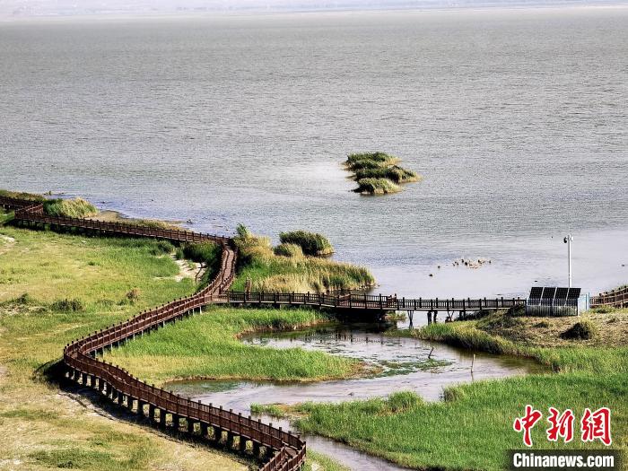 圖為都蘭湖國(guó)家濕地公園觀光棧道?！∑钤鲚?攝