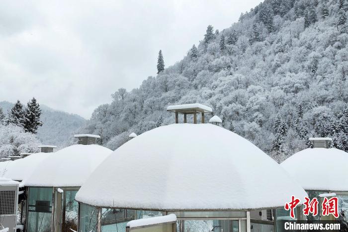 大熊貓國家公園王朗片區(qū)春雪如畫，宛若仙境。　羅春平 攝