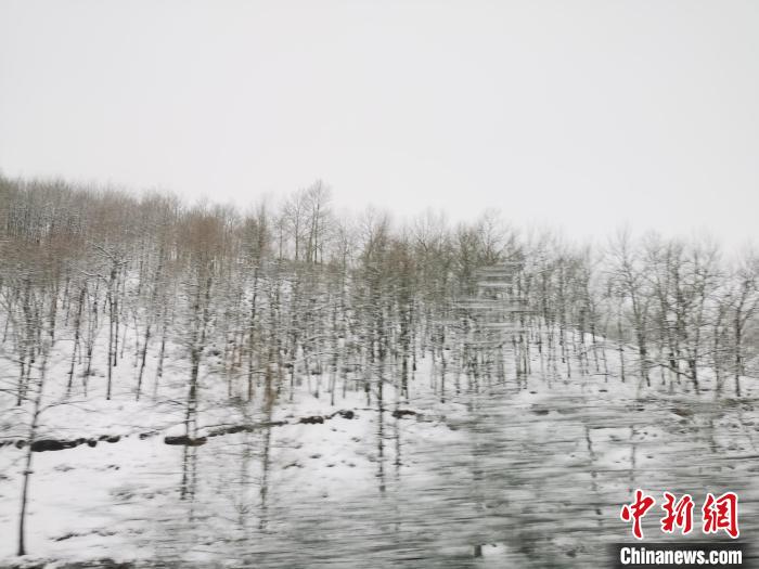 圖為青海青沙山區(qū)域被降雪覆蓋?！?zhí)砀?攝