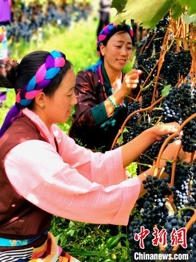 西藏昌都迎來(lái)70年巨大變遷