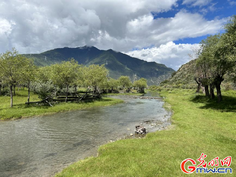 我們的家園丨雅尼國家濕地公園：荒草灘“換裝”綠水青山 生態(tài)游送來“金山銀山”