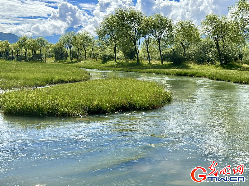 我們的家園丨【組圖】 綠水青山入畫，“金山銀山”筑起