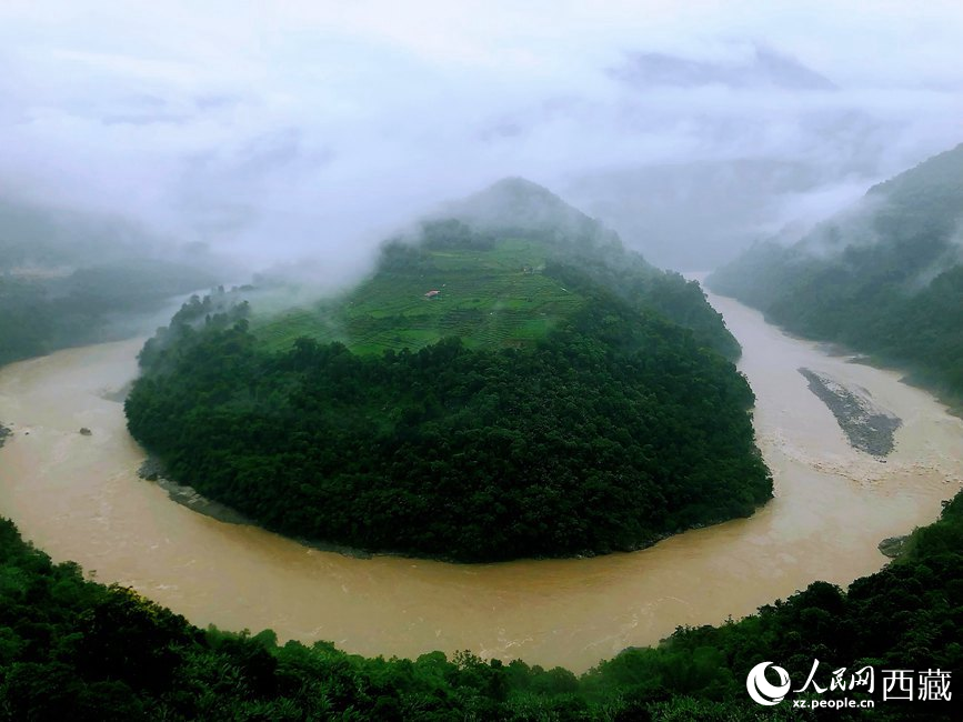 雅魯藏布江大峽谷蛇形拐彎處，山坡上種滿茶樹。