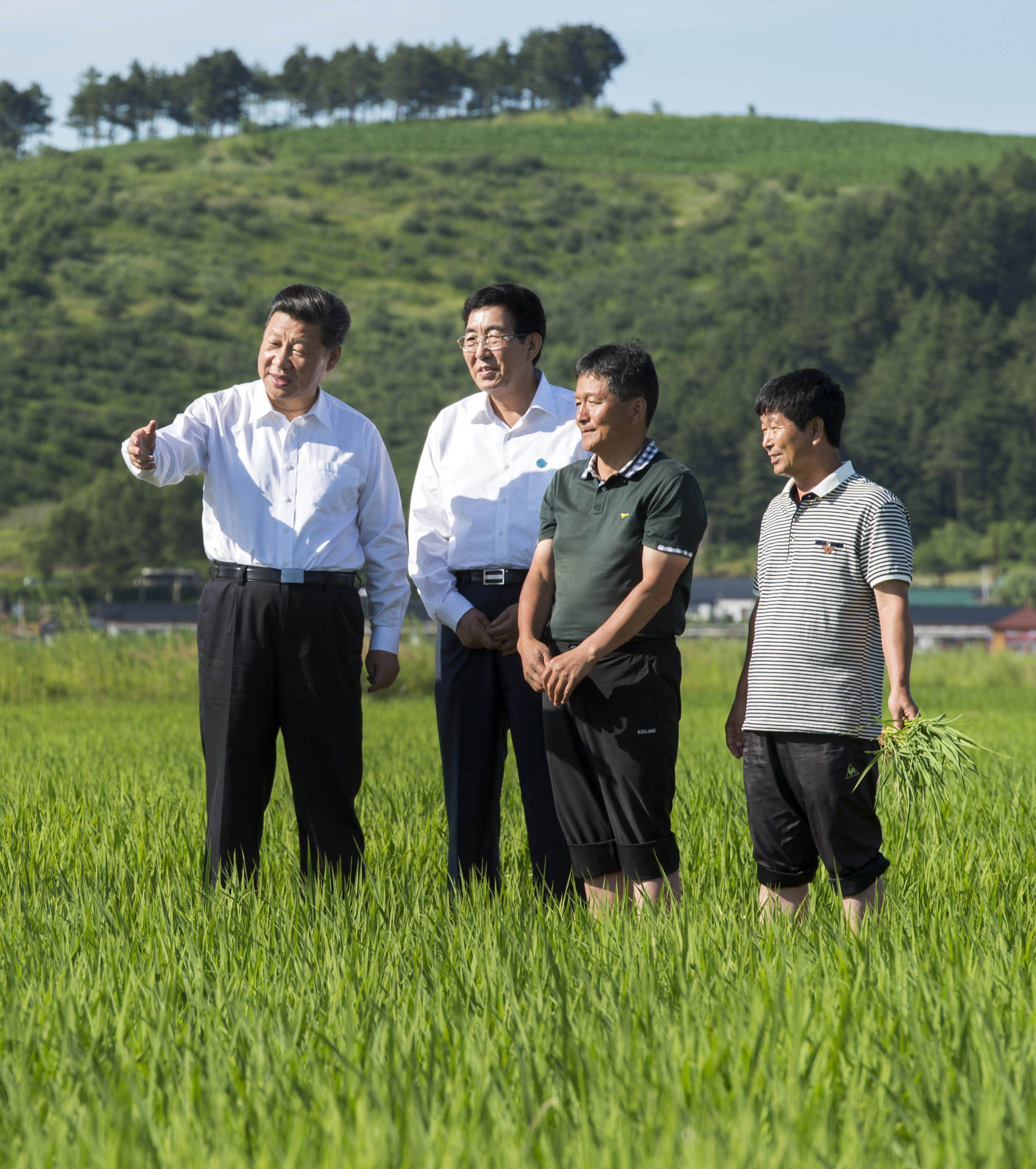 2015年7月16日，習(xí)近平總書記在吉林省延邊州和龍市東城鎮(zhèn)光東村視察水稻長勢。