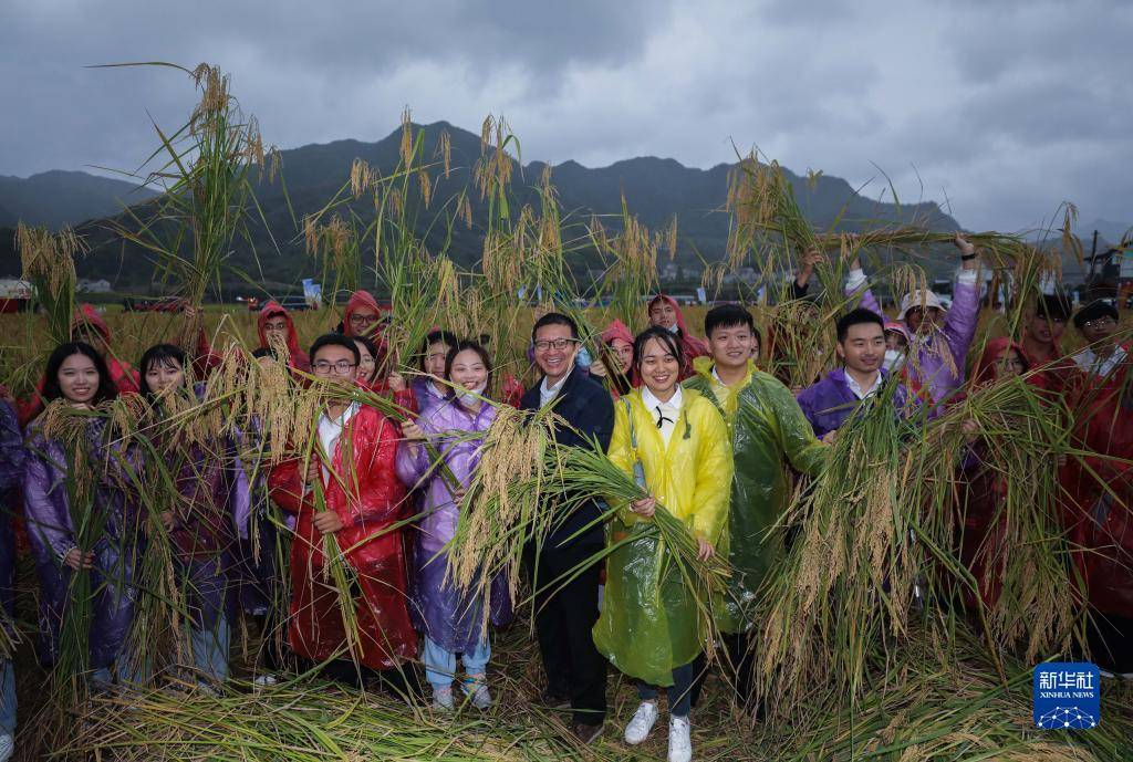 10月16日，游客在三都鎮(zhèn)新和村袁隆平生態(tài)水稻種植基地與收割的“巨型稻”合影。